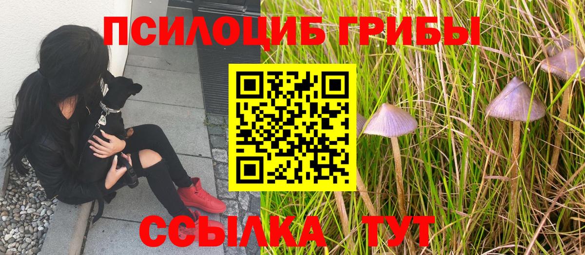 Жуковский  Псилоцибиновые грибы мицелий  Галлюциногенные грибы мухоморы  Вход с VPN 
